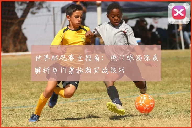 世界杯观赛全指南：热门球场深度解析与门票抢购实战技巧